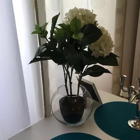 1 Center Apartment *