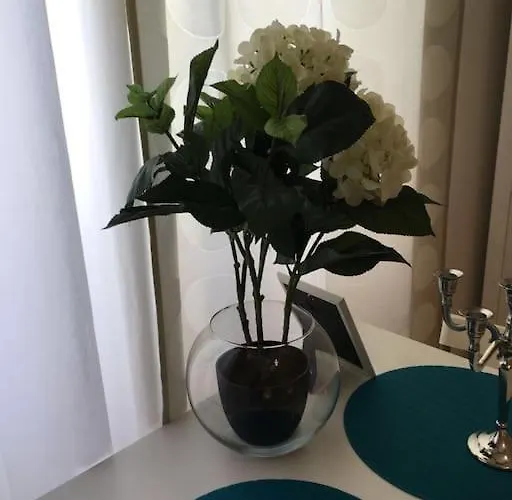 1 Center Lejlighed *